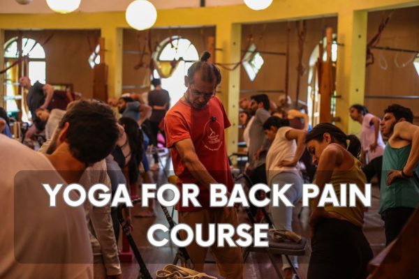 Yoga for Back Pain Online Course